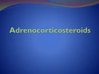 Role of Corticosteroids in Adrenal Function