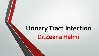 Understanding Urinary Tract Infections During Pregnancy