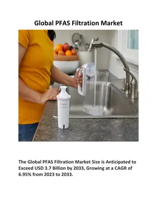 Global PFAS Filtration Market