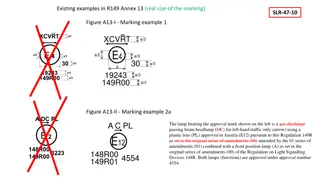 Examples of Marking in Annex 13 of Regulation 149 - Real Size Illustration