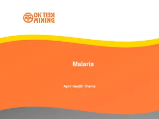 Malaria: Causes, Symptoms, and Prevention