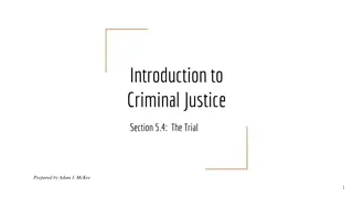 The Criminal Trial Process