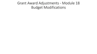 Grant Award Adjustments and Budget Modifications