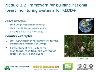 Framework for Building National Forest Monitoring Systems for REDD+