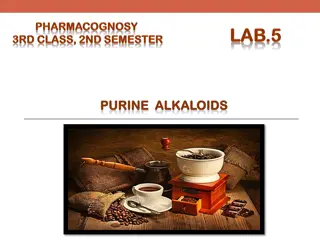 Purine Alkaloids and Their Pharmacological Activities