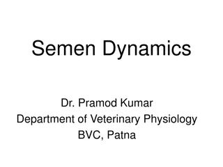 Semen Dynamics and Capacitation in Mammalian Spermatozoa