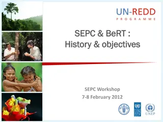 UN-REDD Programme Progress Summary 2010-2011