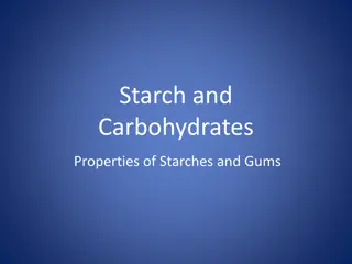 Starch and Carbohydrates in Food Science