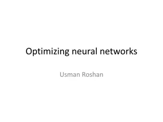 Optimization Techniques in Neural Networks