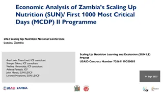 Economic Analysis of Zambia's Scaling Up Nutrition (SUN) Programme