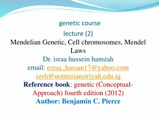 Mendelian Inheritance and the Rediscovery of Mendel's Work