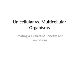 Unicellular vs. Multicellular Organisms: A Comparative Analysis