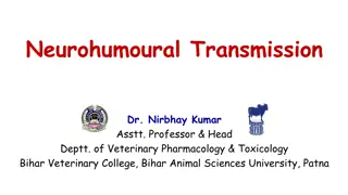 Neurohumoural Transmission in Veterinary Pharmacology