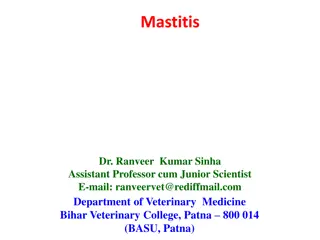 Mastitis in Cows: Causes, Treatment, and Prevention Strategies