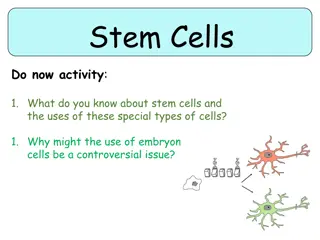 Stem Cells and Their Applications