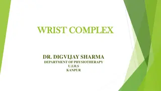 The Anatomy of the Wrist Complex