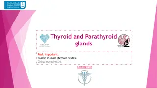 Thyroid and Parathyroid Glands Histological Structure Overview