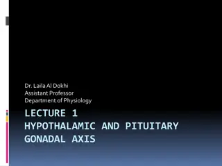 The Hypothalamic-Pituitary-Gonadal Axis in Reproductive Physiology