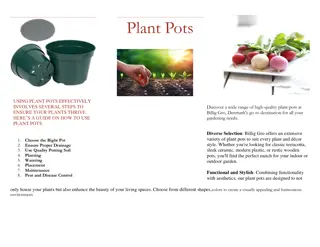 plant pots In Denmark - Billig gro