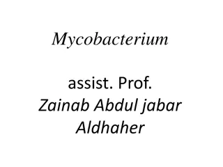 Mycobacterium: Causes and Impact of Tuberculosis