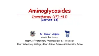 Understanding Aminoglycosides in Veterinary Pharmacology