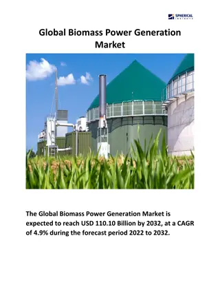 Global Biomass Power Generation Market