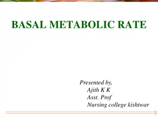 Basal Metabolic Rate and Energy Balance