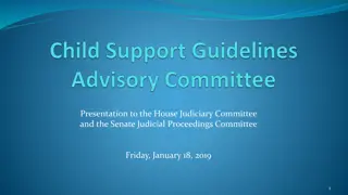 Presentation to Judiciary and Senate Committees on Maryland Child Support Guidelines