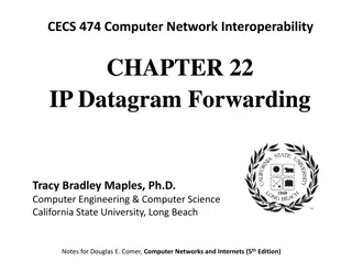 Understanding IP Datagrams in Computer Networks