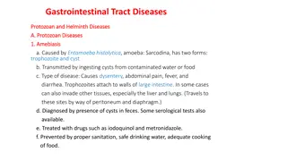 Comprehensive Overview of Gastrointestinal Tract Diseases