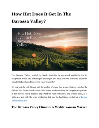 How hot does it get in the Barossa Valley?