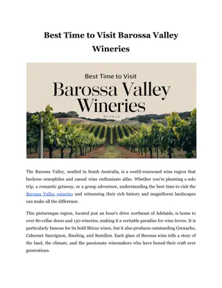 Best Time to Visit Barossa Valley Wineries