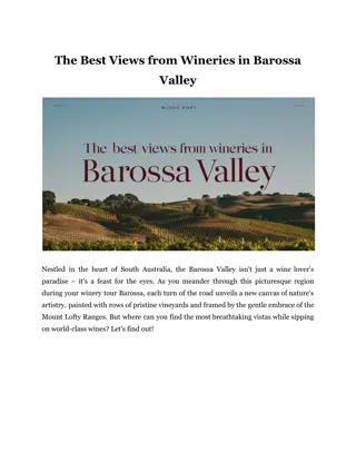 The Best Views from Wineries in Barossa Valley