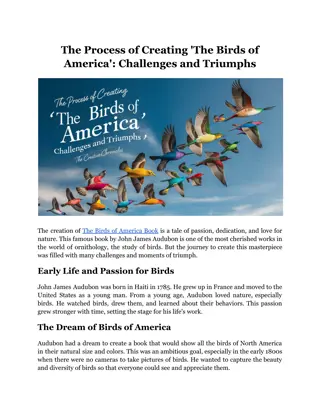 The Process of Creating 'The Birds of America': Challenges and Triumphs