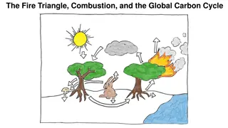 The Fire Triangle, Combustion, and the Global Carbon Cycle