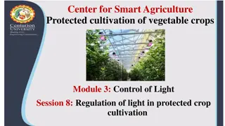 Regulation of Light in Protected Crop Cultivation: A Comprehensive Overview