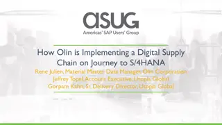 Implementing a Digital Supply Chain Journey at Olin Corporation