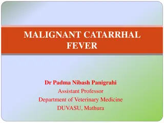 Overview of Malignant Catarrhal Fever in Cattle and Other Species