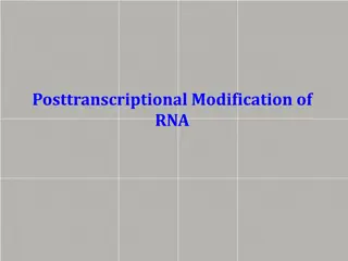 Posttranscriptional Modification of RNA Overview