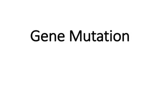 Gene Mutations and Their Impact on DNA Sequences