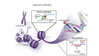 Epigenetics: DNA Methylation and Histone Modification