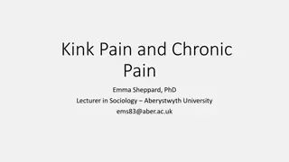 Exploring the Intersection of Chronic Pain and BDSM in Critical Disability Studies