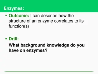 Understanding Enzyme Structure and Function