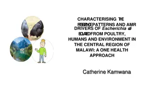 Antibiotic Resistance in E. coli from Poultry, Humans, and the Environment in Malawi