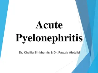 Understanding Acute Pyelonephritis: Risk Factors, Etiology, and Management