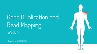 Gene Duplication, Mutation, and Read Mapping in Molecular Evolution