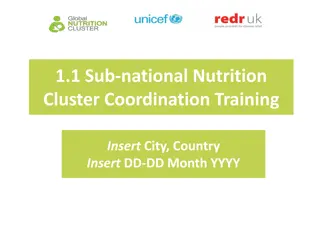 Sub-national Nutrition Cluster Coordination Training Workshop