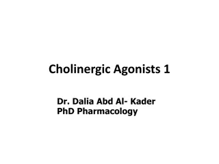 Cholinergic Neurons and Agonists in Pharmacology