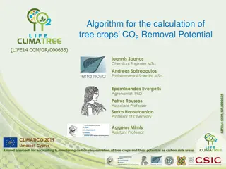 Algorithm for Tree Crops CO2 Removal Potential