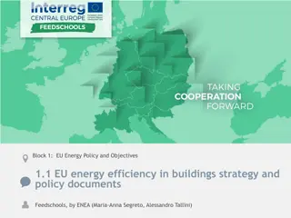 European Energy Efficiency Strategies and Policies in Buildings